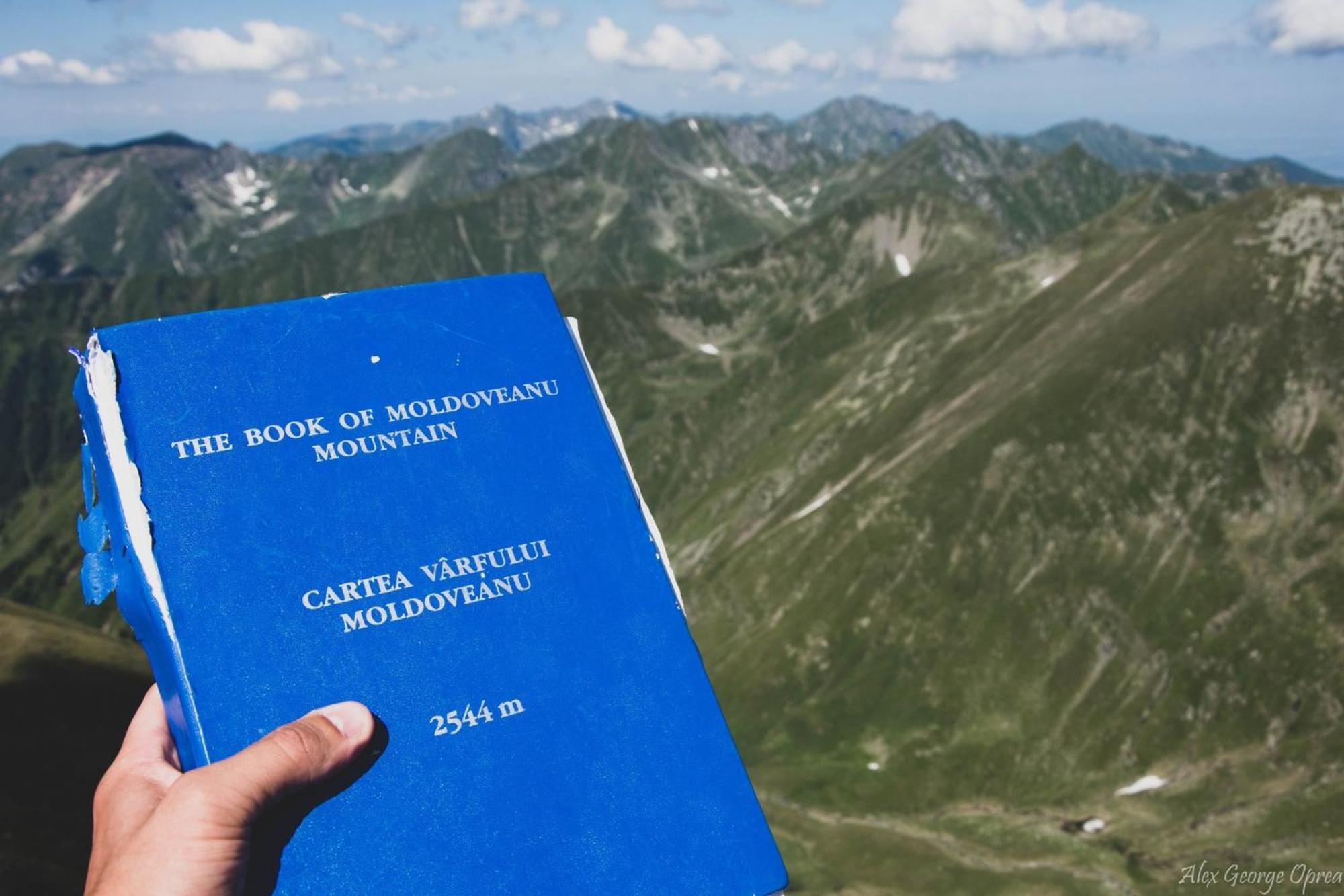 Conacul Doamnei Villa Corbi Buitenkant foto