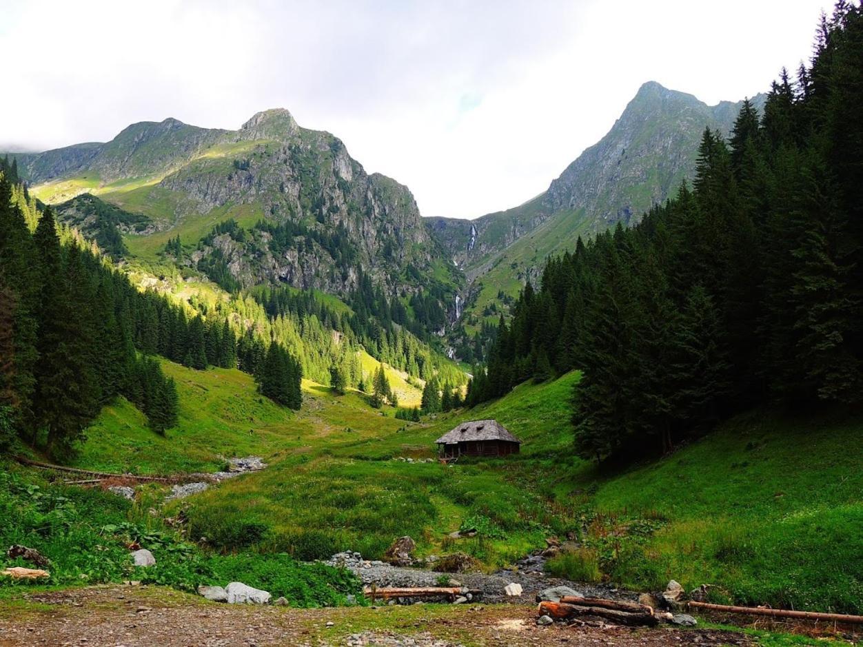 Conacul Doamnei Villa Corbi Buitenkant foto