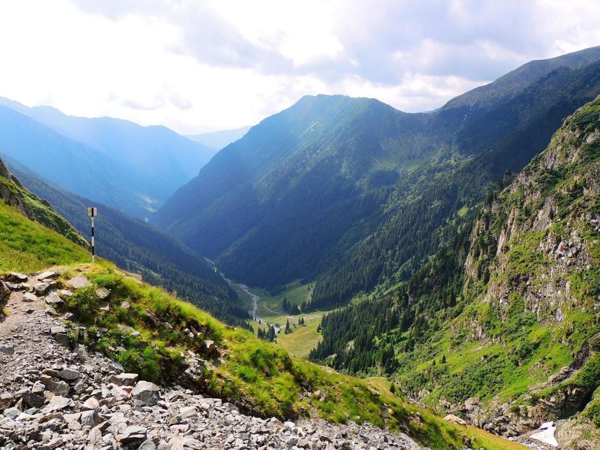 Conacul Doamnei Villa Corbi Buitenkant foto