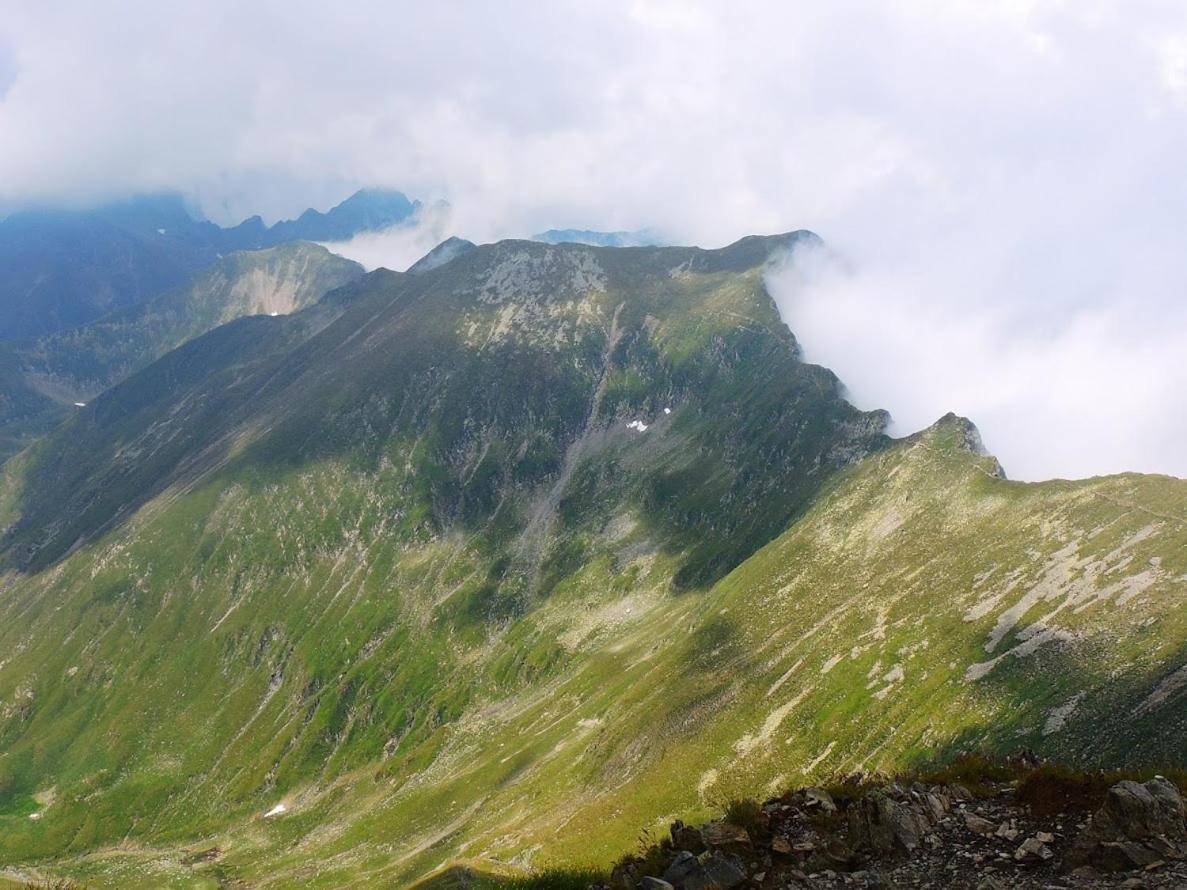 Conacul Doamnei Villa Corbi Buitenkant foto