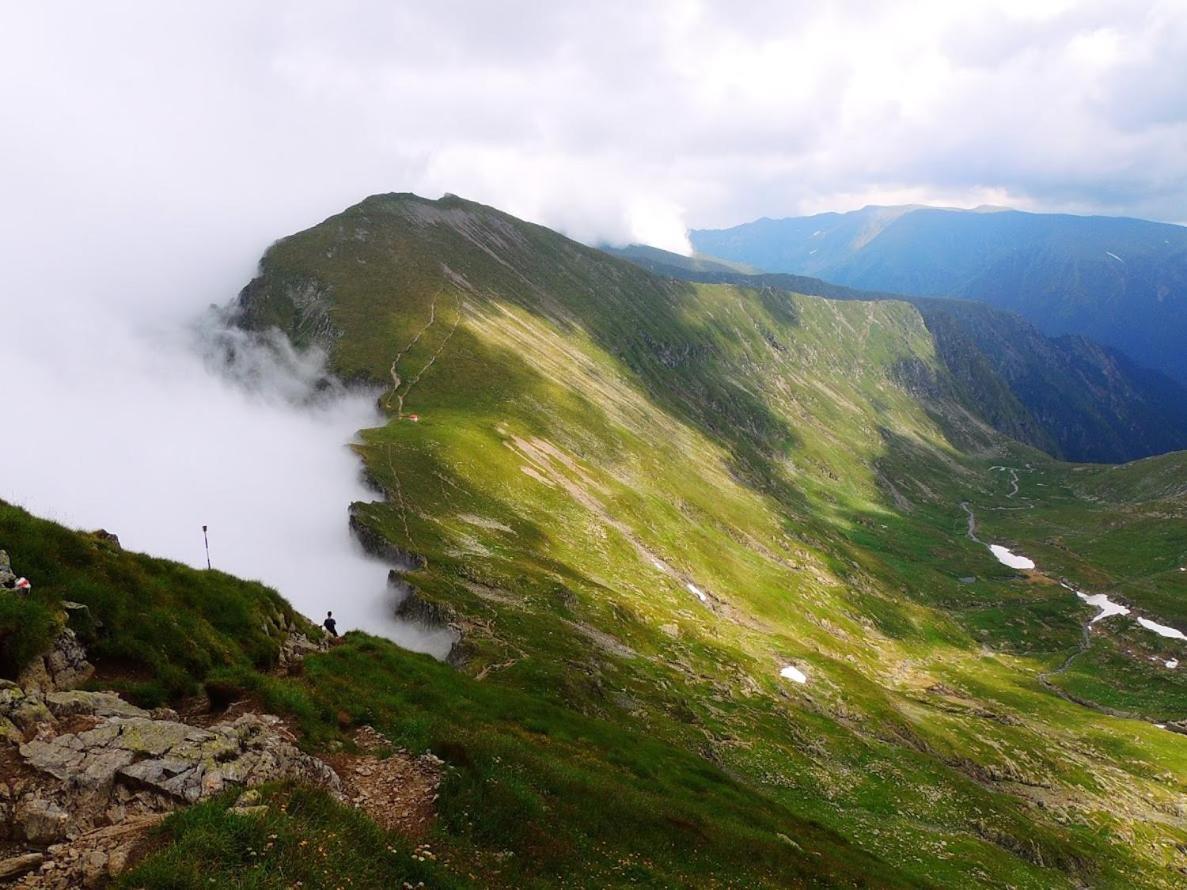 Conacul Doamnei Villa Corbi Buitenkant foto
